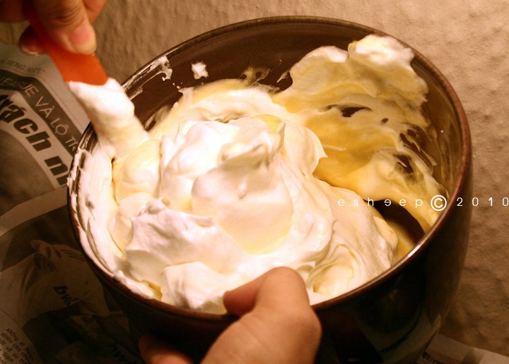 passion fruit chiffon-5
